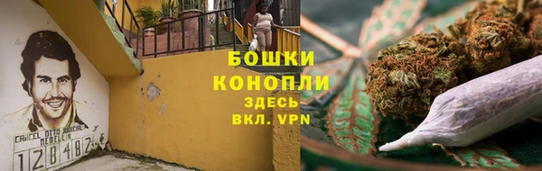 ПСИЛОЦИБИНОВЫЕ ГРИБЫ Арсеньев