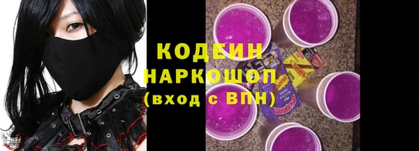 ПСИЛОЦИБИНОВЫЕ ГРИБЫ Арсеньев