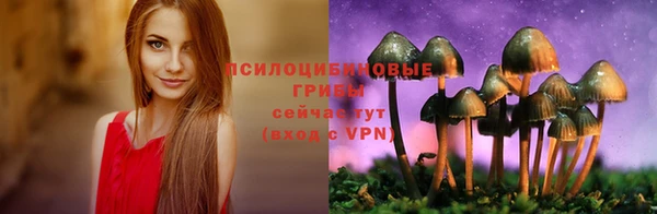 круглые Армянск