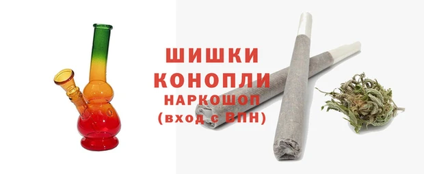 стаф Долгопрудный