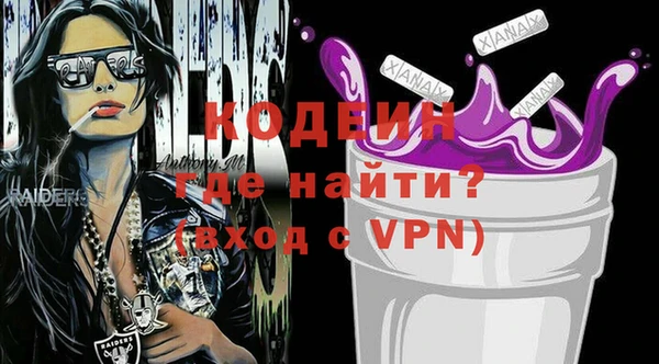 ПСИЛОЦИБИНОВЫЕ ГРИБЫ Арсеньев