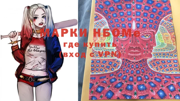 ПСИЛОЦИБИНОВЫЕ ГРИБЫ Арсеньев