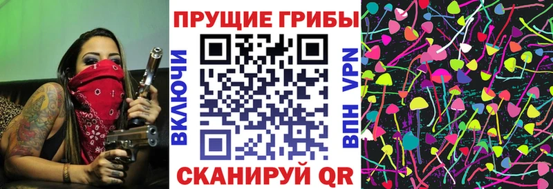 Галлюциногенные грибы MAGIC MUSHROOMS  закладка  Бакал 